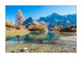 Lac Bleu #F01529