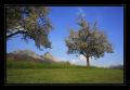 Mythen #3138 Mythen #3138