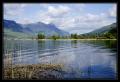 Lauerzersee #0290