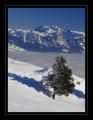 Rigi Aussicht #2522