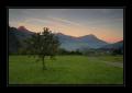 Rigi #8628