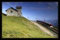 Rigibahn #2145