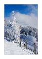 Rigi Kulm #17933