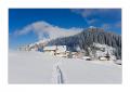 Rigi Staffelhoehe #17954