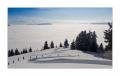 Rigi Staffelhoehe #17956