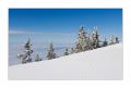 Rigi Staffelhoehe #17960
