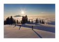 Rigi Staffelhoehe #17993 Rigi Staffelhoehe #17993