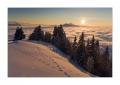 Rigi Staffelhoehe #17998