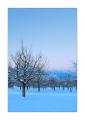 Rigi im Winter #40927