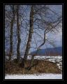 Rothenturm #5655 Rothenturm #5655