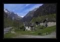 Bavonatal #14158