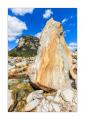 Verzasca #33147