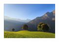 Herbstbäume bei Urigen #34931