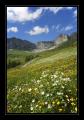 Schaechtental Ruogig #15383 Schaechtental Ruogig #15383