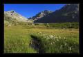 Urserental #8412