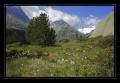 Goescheneralp #7827
