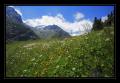 Goescheneralp #7890