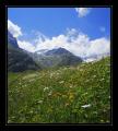 Goescheneralp #7898