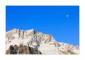 Dammastock und Mond #35022