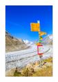 Aletschgletscher #36274