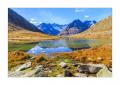 Aletschgletscher #36289