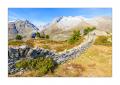 Aletschgletscher #36315