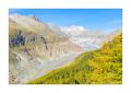 Aletschgletscher #36356