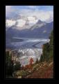 Aletschgletscher #16492