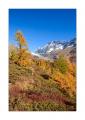 Herbst im Lötschental #31217