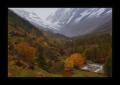 Loetschental #16348 Loetschental #16348