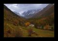 Loetschental #16351 Loetschental #16351