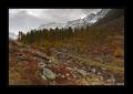 Loetschental Fafleralp #16239