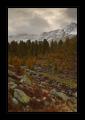 Loetschental Fafleralp #16247 Loetschental Fafleralp #16247