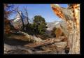 Matterhorn #10954