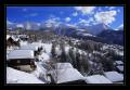Bellwald #12536