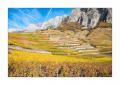 Chamoson Rebberge #F00498