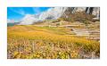 Chamoson Rebberge #F00500