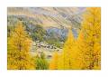 Herbst in Zermatt #5D301620