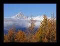 Bietschhorn #16545