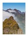 Madeira #20474 Madeira #20474