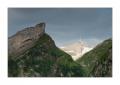 Säntis Rossmad #22476