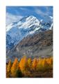 Piz Bernina #30765 Piz Bernina #30765