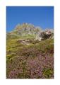 Wanderweg Sewenstock #22646