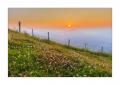 Rigi Sonnenaufgang #32678