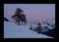 Guarda #17686