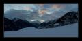 Lavin Pano #17575-9