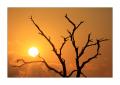 Sonnenuntergang in Südafrika #5ds00978