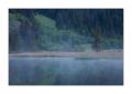 Lauenensee #21401
