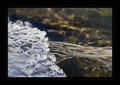 Wasser Eis #17470