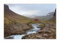 Hornstrandir #29469